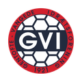 ГВИ
