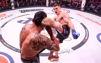 Bellator, Fight Nights, Fightmatrix, Вадим Немков