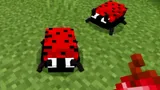 Лучшие моды на насекомых для Minecraft: добавляем разных жуков, бабочек и букашек в игру