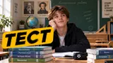 Тест: ответьте на вопросы из 8 класса — сравните свои познания с обычным школьником