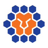 Квинсленд Лайонс