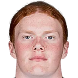 Элвис ван дер Лан