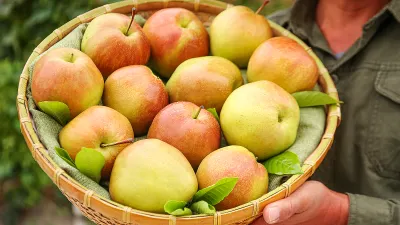Лайфхаки