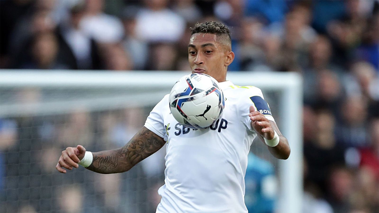 Пулишич челси. Артём дзюба и азмун. Дзюба и азмун. Левандовски и роналду. Джейдон санчо в мю.