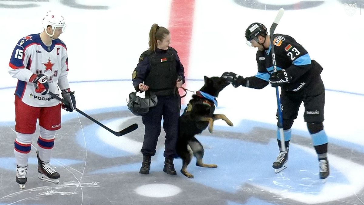 Собака вцепилась в хоккеиста минского «Динамо» перед матчем КХЛ с ЦСКА
