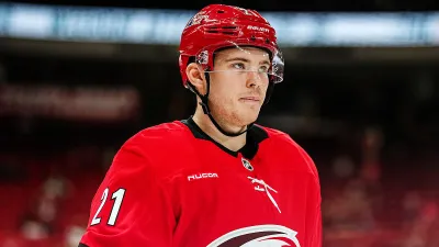 Александр Никишин