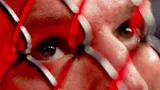 «Плачь, сучка». Фанаты размазали Макгрегора в соцсетях, несмотря на жуткую травму