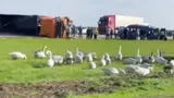 В Ставропольском крае в ДТП разбилась юношеская команда по баскетболу. Пятеро детей погибли