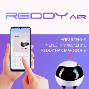 Робот-друг, компаньон REDDY Air — обзор, характеристики, функции, цена ...