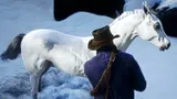 Лучшая бесплатная лошадь в Red Dead Redemption 2: вот где ее найти