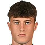 Риккардо Стиванелло