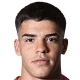 Факундо Гулли